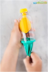 Lungs Model for Kids