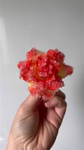 Grow a crystallized flower for Valentine’s Day 🌹✨ Materials: Jar or beaker Borax Boiling water Fake flower Skewer Method: 🌹 Dissolve 2-3 Tbsp of borax per 250 mls of water 🌹 Stir until most of the borax has dissolved. If you notice excess borax at bottom, not to worry! This means you have a super saturated solution which is perfect 👌🏽 🌹 Attach some string to the flower and use a skewer to hold it in place inside your solution 🌹 Leave for 12-24 hours 🌹 Remove from solution and allow to dr