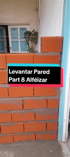 Cómo levantar una pared: técnicas y consejos eficaces