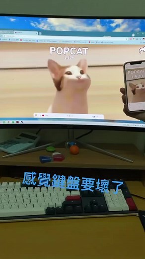 Popcat: Enjoy Humorous Cat Reactions on Screen