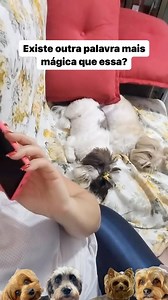 1.4M views · 10K reactions | E aí, qual é a palavra mágica que...