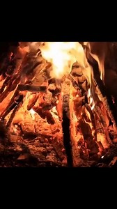 Tree house building 101 Step 1 Find a sturdy branch | Dungannon Thomas Clarkes