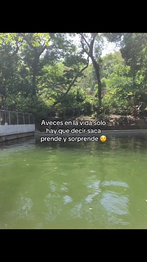 😌😌#muchasvistas🥺 #apoyotiktok #videoviral #muchasvistas #vida#fyp