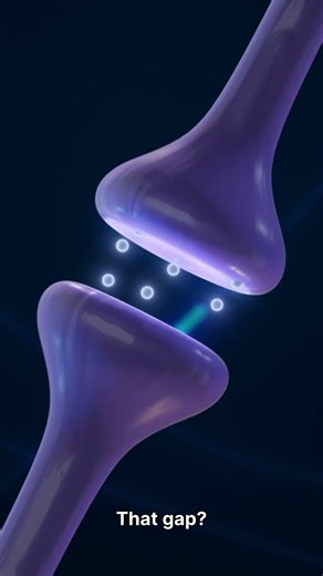 The Space Between Stimulus and Response