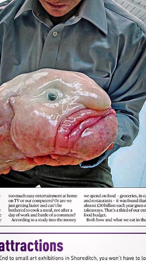 The Mysteries of the Blobfish Revealed