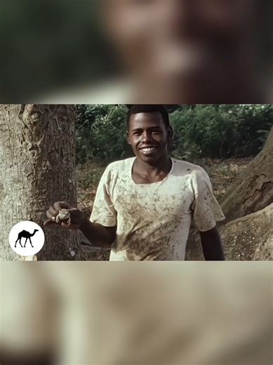 Taariikhda Soomaali Bantu 1973
