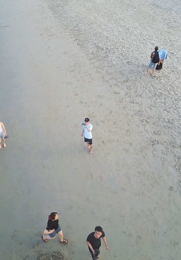 Chill cùng Mini 3 pro #ntcamera #dji #insta360 #flycam #mini3pro