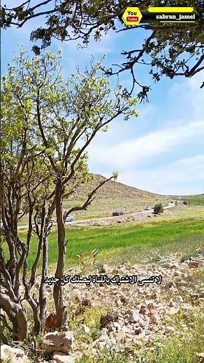 Al-Haysha Spring | Stunning Natural Views #nature #travel