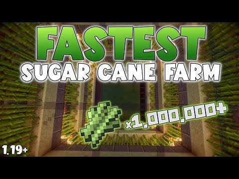 Fastest Sugar Cane Farms for 1.19 Survival Minecraft