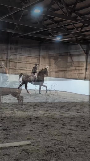 23 reactions | Looking forward to the future with focus and determination here at CRS Training Center. Daniels Castle Black - Katy Kleckner in the Irons. | CRS Training Center | Facebook