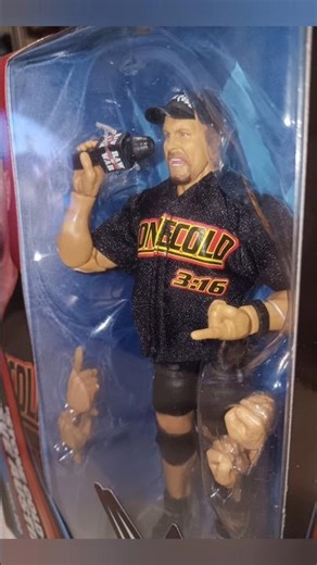 Got A NEW WWE Fig For My BIRTHDAY! #wwe #actionfigures #stonecoldsteveaustin #stonecold #superstar