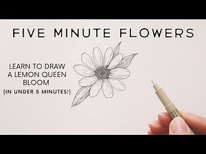 Five Minute Flowers: Lemon Queen Sunflowers {real time drawing tutorial}