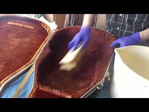 Cleaning Ovation Guitar Case of Mildew and Mold Part 1