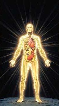 The Body Light | SCIENCE FACTS |