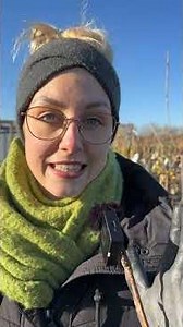 🌸 Kirschblüten im Winter? ❄ Mit diesem Trick klappt's!