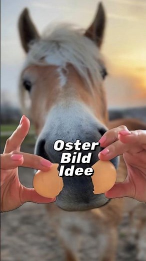 DIY super easy Oster - Foto 🐣📸Ein schneller Tipp für ein Oster-Bild zum verschicken 🐇