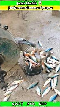 Jadui Chakki 🤯#comedyshorts #viral