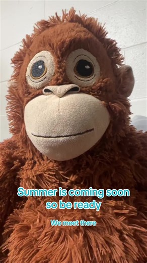 #summer #fyp #pourtoiii #monkey #2016 | monkey