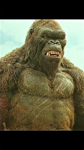 Kong 😘Skull Island 🏝️ Kong Saved Wild Ox #kongskullisland