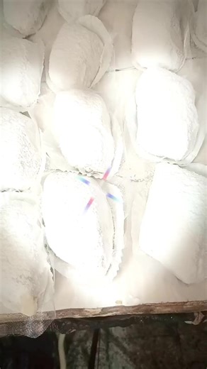 Vidéos de Ikram bel (@ikrambel870) avec original sound - Mohanad Zaiter