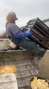 1.2M views · 6.7K reactions | Over 200 pounds in here. Channel catfish. #fishing #commercialfishing #fish #trap #tails | Red beards catfish traps | Facebook