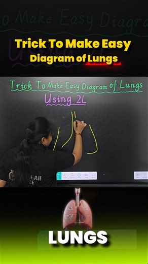 How to Draw Lungs Easily? Lungs Diagram Easy Trick for Students! ✅ #bhushanscience #lungsdiagram