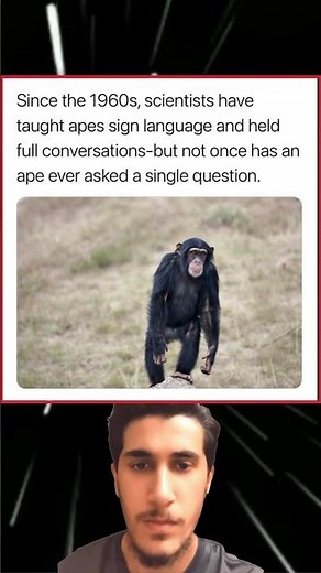 Scientists have taught apes sign language