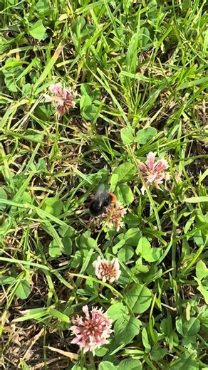 Kevzzz Super beezzz (@kevzz_super_beezzz)’s videos with Don't Stop! (Airplay Edit) - ATB