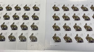 Scammers are selling counterfeit stamps online. Here's how to avoid getting ripped off