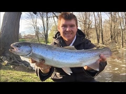 Steelhead Fishing With Little Cleo Classic Spoons!!!