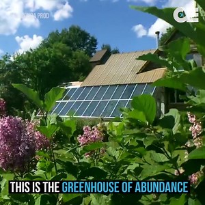 356K views · 6.3K shares | Food production is such a hot topic right now. All the blueprints are online to make your own passive greenhouse attached to your home. Cool! | Collective Evolution | Facebook