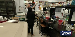 Professor, students explore space survivability in Wichita State lab