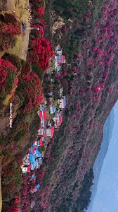 Malai Himal Dekhauna Laijanu Hai
