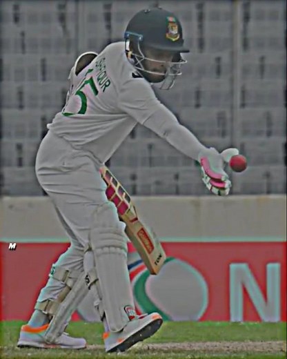 Mushi's bad luck 😢😢#shorts #trending #viralvideo