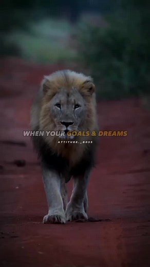 Inspirational Quotes for Ultimate Motivation