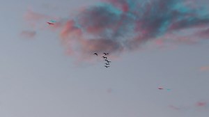 OZORA Festival 2025 Official Video – Premier Kultcafé Date: 6 February 2026 Venue: Premier Kultcafé, Budapest, Hungary Screenings start: 19:30 and 20:45 Arrival: Please arrive at least 20 minutes before the screening. Registration: https://2026.ozorafestival.eu/tickets-and-registration/movie/ Entry: The screenings are free of charge; however, online pre-registration is required to secure seating. For entry, please bring the ticket you received by email, either printed or displayed on your phone.