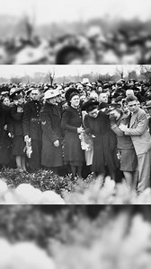 405K views · 11K reactions | The Butterfly Effect!勞曆 . . . . #butterflyeffect #Explained #history #ww2history #ww2 #theory #historical #DidYouKnow #historylovers #nowyouknow #Mindblown #worldwar2 #worldwar | Curiousitygeek | Facebook