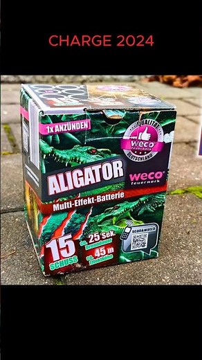 Aligator Lidl 3,99€ | Charge 2024 (Unterstützt durch Produktplatzierung)