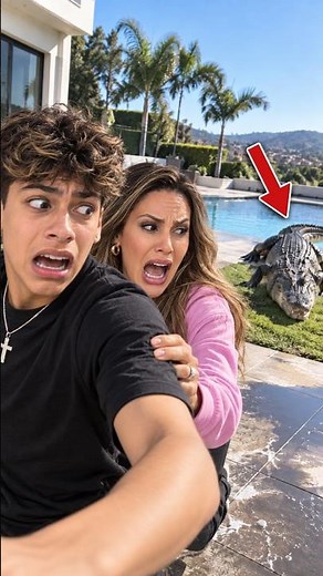 Ferran & The Royalty Family Found a GIANT Alligator in Their Backyard 😱🐊