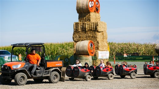 Mid-Valley fall: Pumpkin patches, corn mazes and apple orchards await