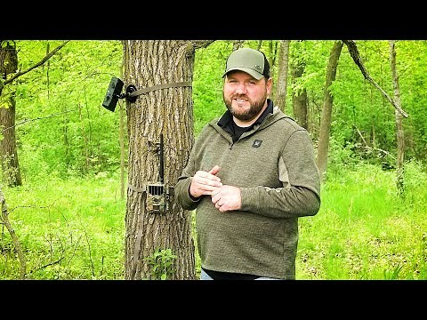 Trail Camera Setup and Placement Tips