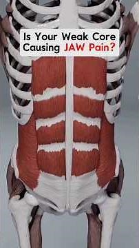 The Core-Jaw connection explained! #tmj #jaw #coreworkout #fascia ￼