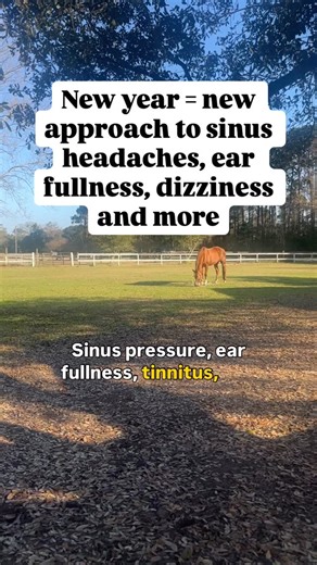 Jessica Lee, MD, DipABLM on Instagram: "💥Sinus pressure 💥 Ear fullness 💥 Tinnitus But normal scans…Normal scopes…No infection. Here’s what many people don’t realize: some ENT symptoms are driven by an over-reactive nervous system. Two common pathways I see: 🧠 Neurovascular inflammation (seen in migraine-related ENT symptoms) ⚡ Autonomic dysfunction (seen in POTS / MCAS / dysautonomia) When the nervous system is stuck in “high alert,” blood vessels, glands, and sensory nerves in the ears, nos