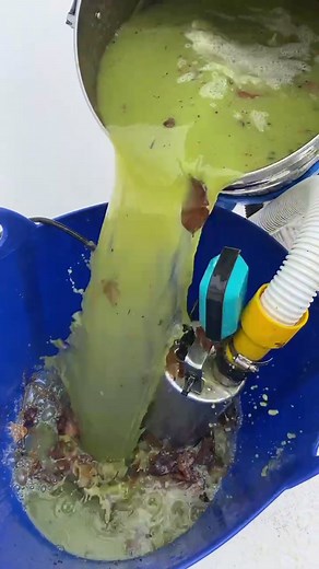 Satisfying Pool Cleaning Process Revealed by The Pool Guy