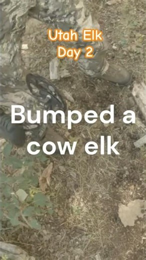Utah Archery Elk- Day 2