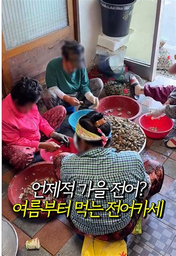 언제적 가을전어 타령⁉️📍바다하우스 #장흥맛집 #전남맛집