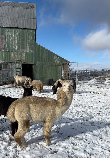 Valentine's Day Messages for Your Loved Ones