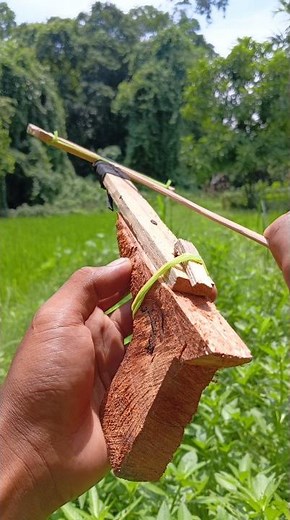 Bamboo creation with wood made gan