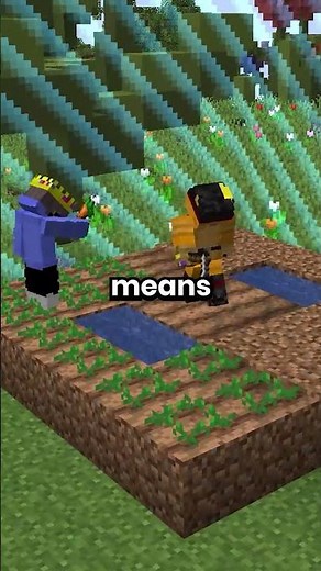 How to play with FRIENDS on BoxSMP! 👀‼️ #minecraft #gaming #smp #cosmosmc #boxsmp ￼