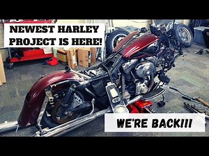 Newest Harley Project! | Part 1 l Budget Rebuilds